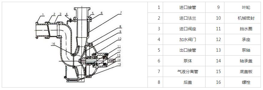ZW不銹鋼自吸排污泵結(jié)構(gòu)圖